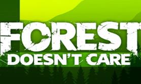 森林不在乎/Forest Doesn’t Care