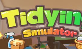 整理模拟器/Tidying Simulator