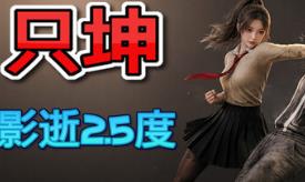 只坤：影逝2.5度/Parry Survivor