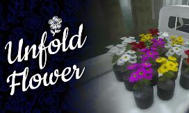 绽花/Unfold Flower