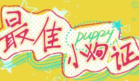 最佳小狗证/Best Puppy Certificate
