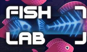 鱼实验室/鱼群实验/Fish Lab