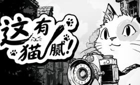 这有猫腻/Cat Me If You Can