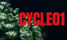 循环01/CYCLE01