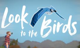 望向飞鸟/Look to the Birds