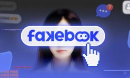 假书/FAKEBOOK