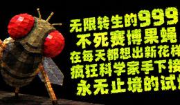 无限转生的999级不死赛博果蝇，在每天都想出新花样的疯狂科学家手下接受永无止境的试炼/FLYBRAIN LAB