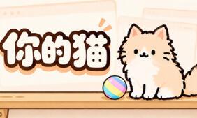 你的猫/Your Cat