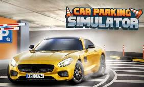 停车模拟器/Parking Simulator
